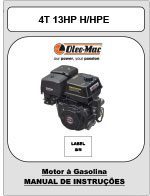 MOTOR-4T-13HP-H-e-HPE-1